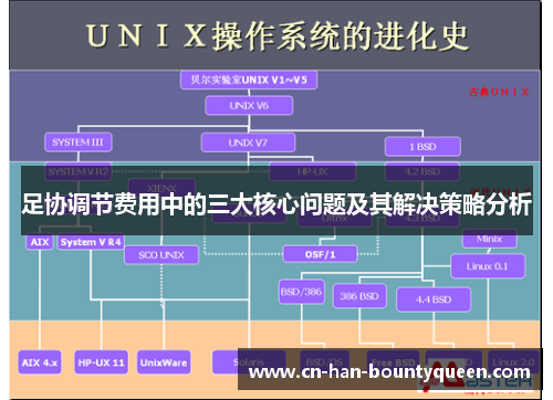 足协调节费用中的三大核心问题及其解决策略分析
