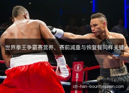 世界拳王争霸赛营养，赛前减重与恢复餐同样关键